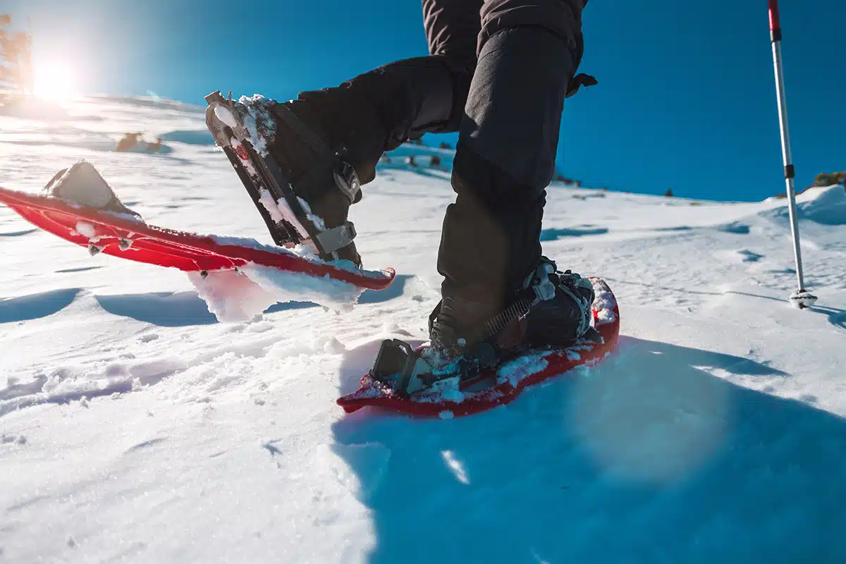 Scuola Italiana Sci E Snowboard Alpe Cimbra​ - 43